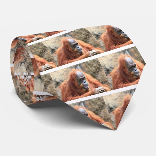 Orangutan Stropdas (Opgerold)