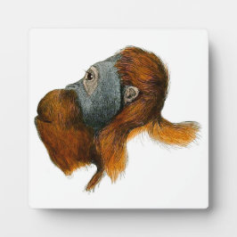 Orangutan Tabletop Plaque met Easel Fotoplaat