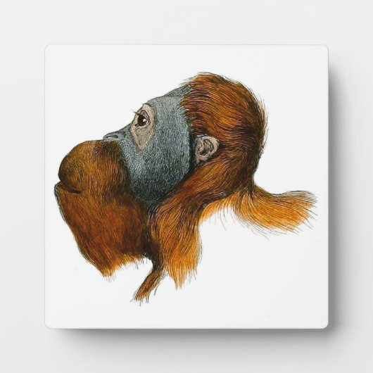Orangutan Tabletop Plaque met Easel Fotoplaat (Voorkant)