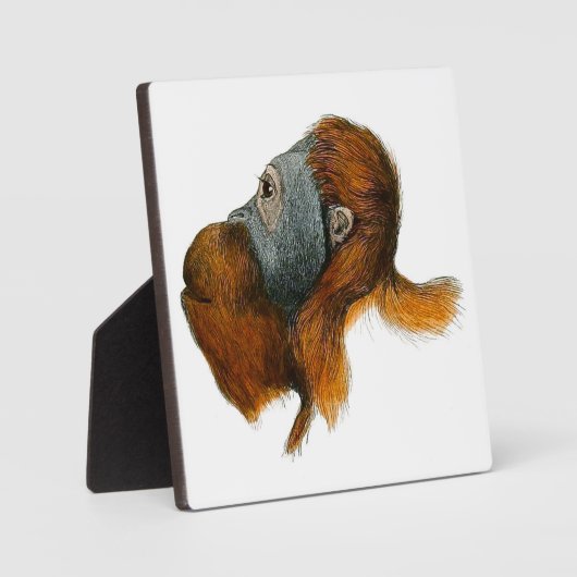 Orangutan Tabletop Plaque met Easel Fotoplaat (Voorkant)