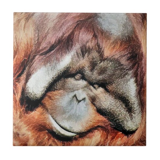 ORANGUTAN TEGELTJE (Voorkant)