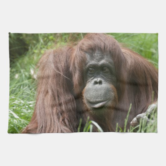 Orangutan Theedoek (Horizontaal)