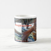 Orangutan Toddler Doris Koffiemok (Center)