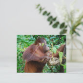 Orangutan Treasure Briefkaart (Staand voorkant)