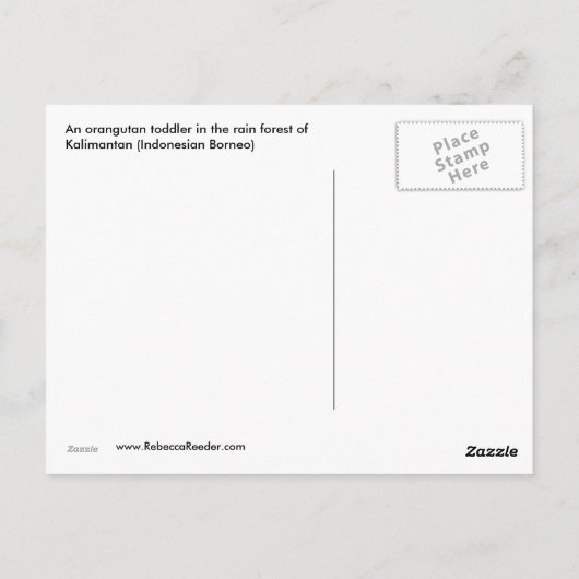 Orangutan Treasure Briefkaart (Achterkant)