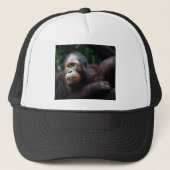 Orangutan Trucker Pet (Voorkant)