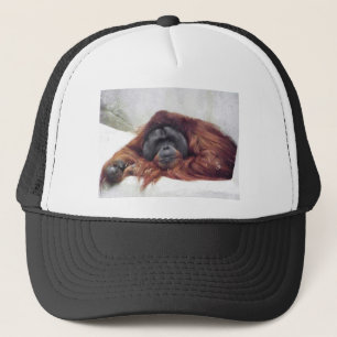 Orangutan Trucker Pet