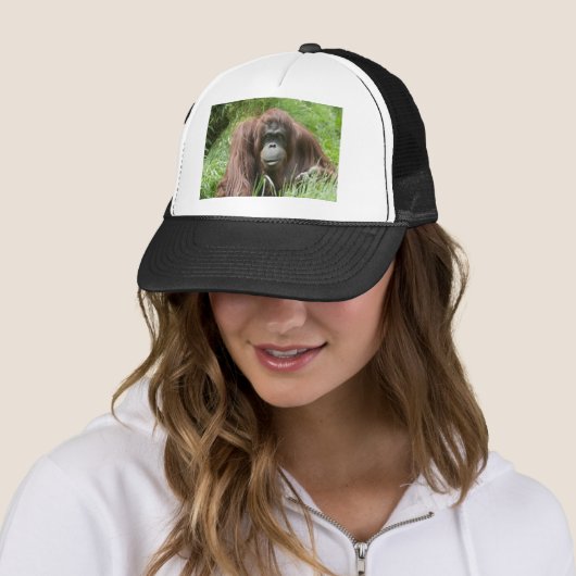 Orangutan Trucker Pet (In situ)