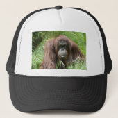 Orangutan Trucker Pet (Voorkant)