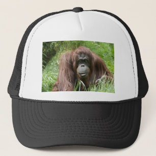 Orangutan Trucker Pet