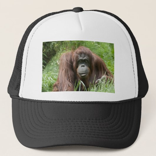 Orangutan Trucker Pet (Voorkant)