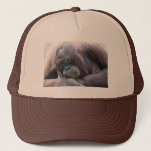 Orangutan Trucker Pet