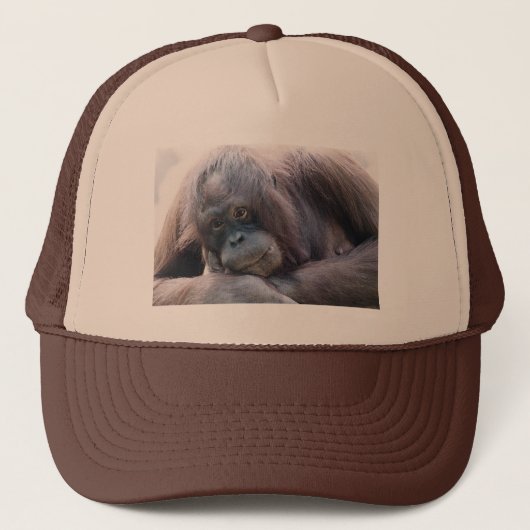Orangutan Trucker Pet (Voorkant)