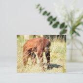 Orangutan tussen hoge grassen feestdagenkaart (Staand voorkant)
