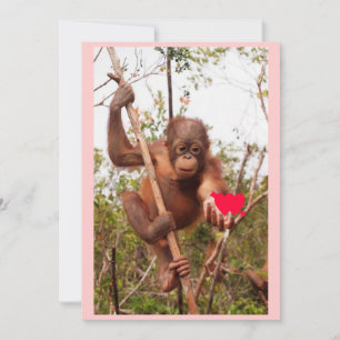 Orangutan Valentijn Cards Feestdagenkaart
