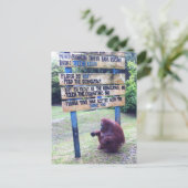 Orangutan van Camp Leakey, eiland Borneo Briefkaart (Staand voorkant)