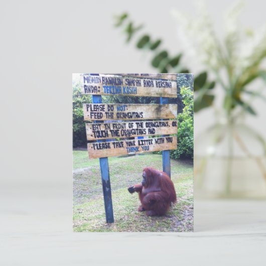 Orangutan van Camp Leakey, eiland Borneo Briefkaart (Staand voorkant)
