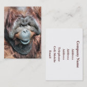 ORANGUTAN VISITEKAARTJE (Voorkant / Achterkant)