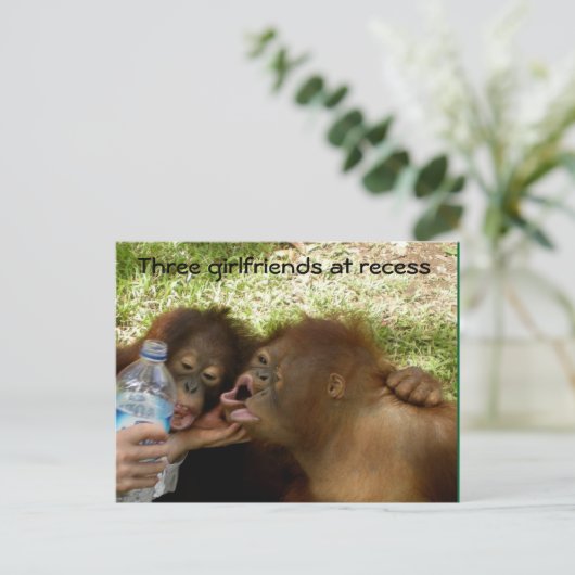 Orangutan Vriendinnen in Recess Briefkaart (Staand voorkant)