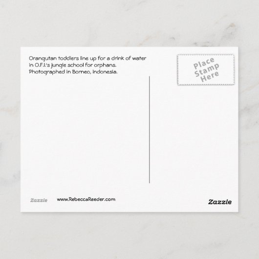 Orangutan Vriendinnen in Recess Briefkaart (Achterkant)
