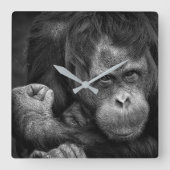 Orangutan Wall Clock Vierkante Klok (Voorkant)