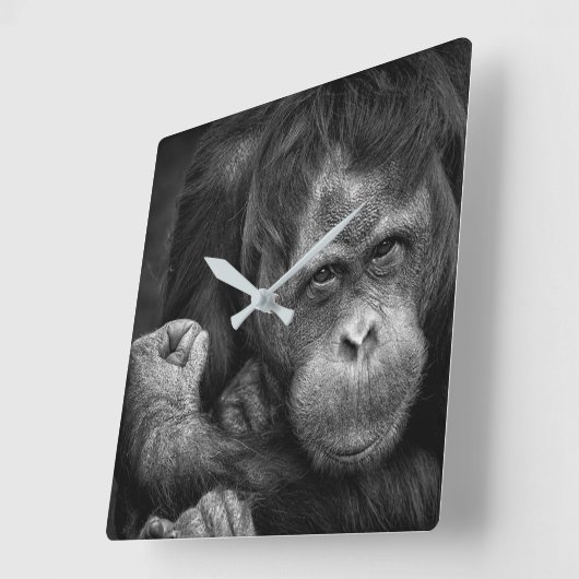 Orangutan Wall Clock Vierkante Klok (Hoek)