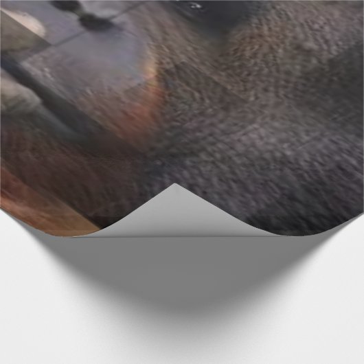 Orangutan wrapping Paper Cadeaupapier (Hoek)