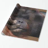 Orangutan wrapping Paper Cadeaupapier (Uitgerold)