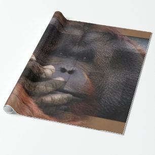 Orangutan wrapping Paper Cadeaupapier