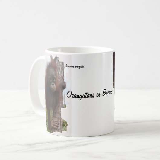 Orangutanen in de Mok van Borneo Coffee (Voorkant links)