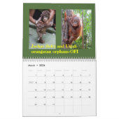 Orangutanen in het regenwoud kalender (Mar 2026)