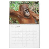 Orangutanen in het regenwoud kalender (Feb 2027)
