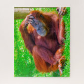 Orangutanen. Legpuzzel (Verticaal)