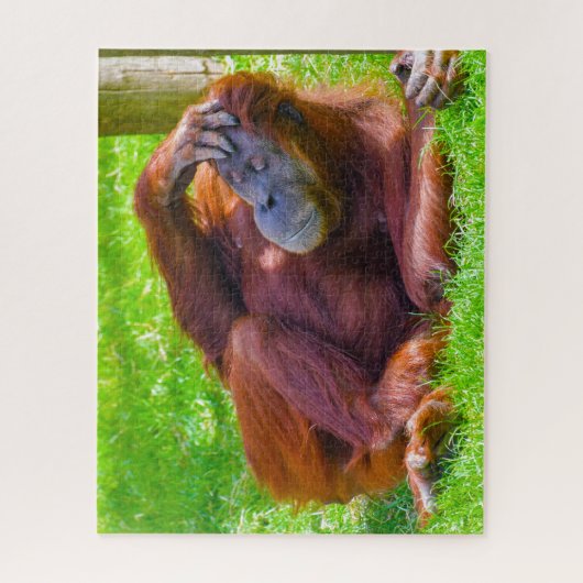 Orangutanen. Legpuzzel (Verticaal)