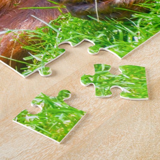 Orangutanen. Legpuzzel (Zijkant)