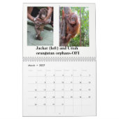 Orangutanen redden orfaan kalender (Mar 2027)