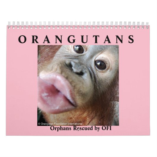 Orangutanen redden orfaan kalender (Hoes)