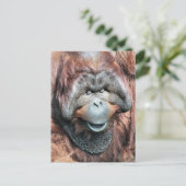 ORANGUTANS BRIEFKAART (Staand voorkant)