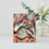 ORANGUTANS BRIEFKAART (Staand voorkant)