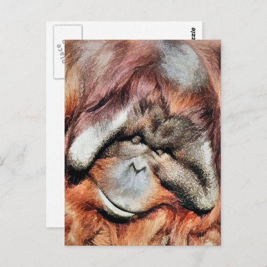 ORANGUTANS BRIEFKAART (Voorkant / Achterkant)