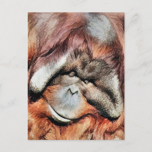 ORANGUTANS BRIEFKAART (Voorkant)