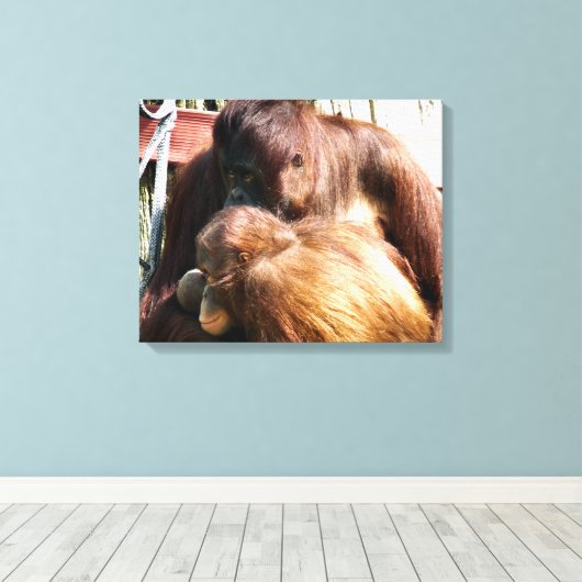 ORANGUTANS CANVAS AFDRUK (Insitu (Houten vloer))