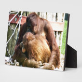 ORANGUTANS FOTOPLAAT (Zijkant)