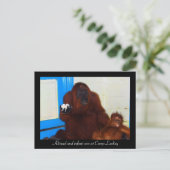 Orangutans in Camp Leakey Briefkaart (Staand voorkant)