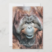 ORANGUTANS KAART (Voorkant)