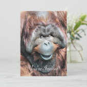 ORANGUTANS KAART (Staand voorkant)