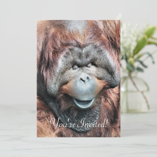 ORANGUTANS KAART (Staand voorkant)