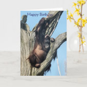 ORANGUTANS KAART (Gele Bloem)