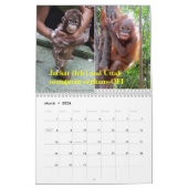 Orangutans Kalender (Mar 2026)