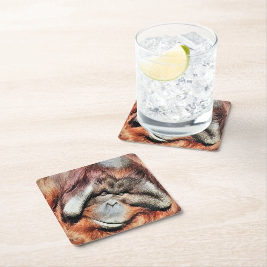 ORANGUTANS KARTONNEN ONDERZETTERS (Insitu)